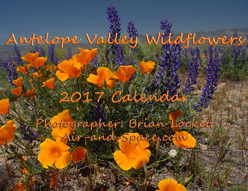 Lockett Books Calendar Catalog: Antelope Valley Wildflowers
